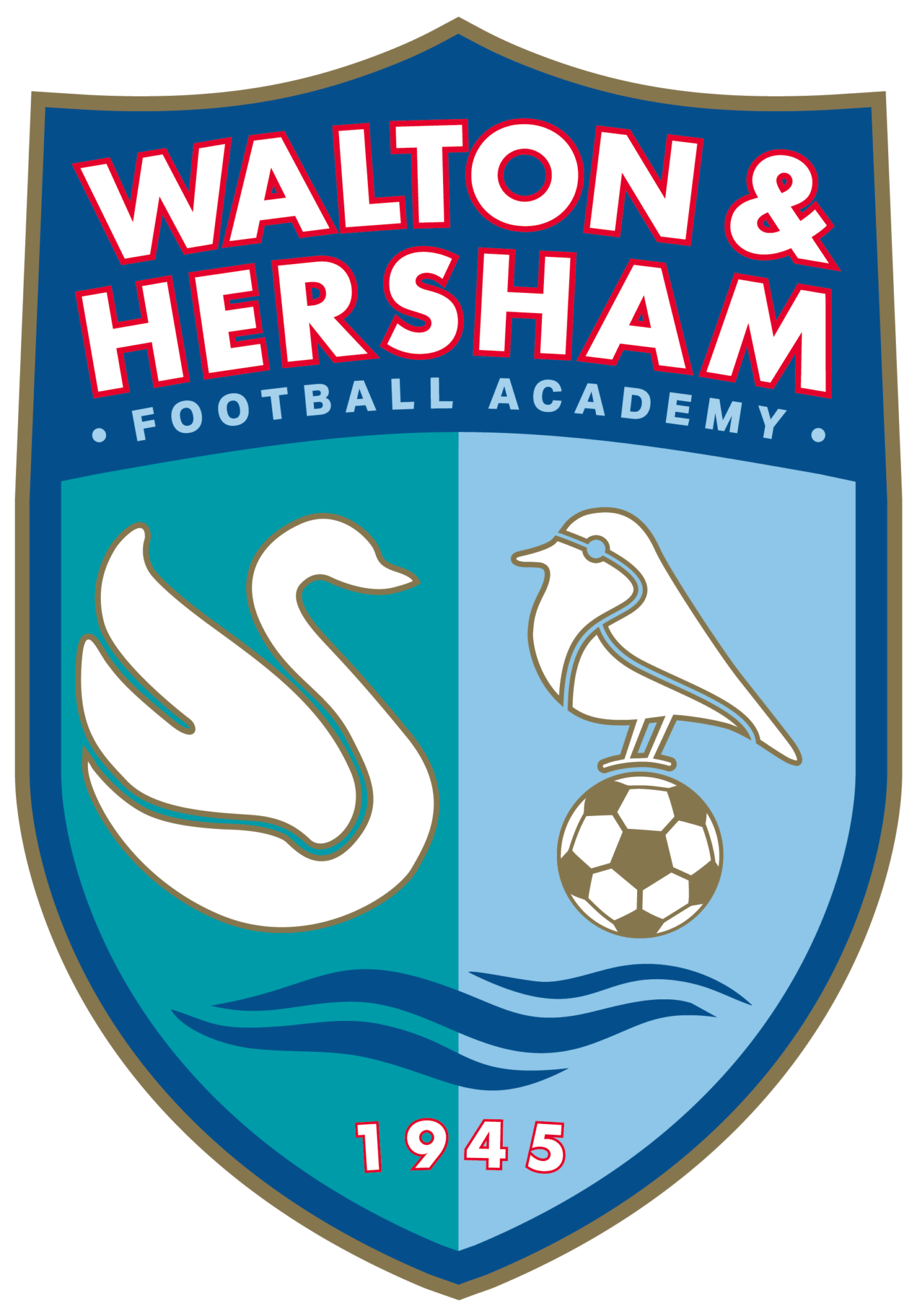Home - Walton & Hersham Football Academy